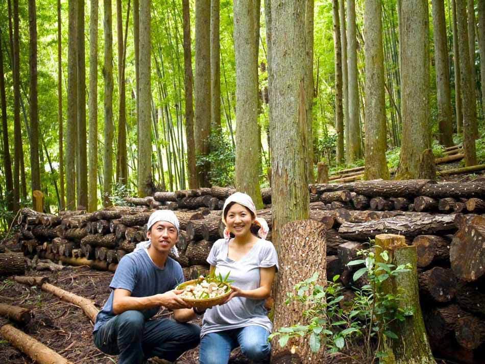 吉野原木栽培したけ生産者